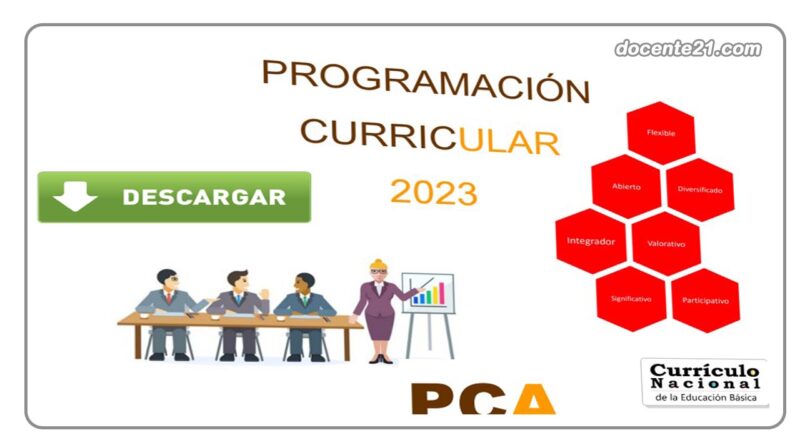 Modelo de programación curricular 2023